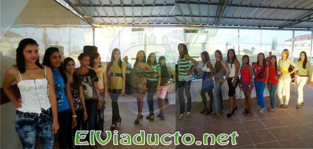 Concursantes de Mis Rosario 2011